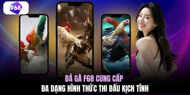 Đá gà F68 cung cấp đa dạng hình thức thi đấu kịch tính