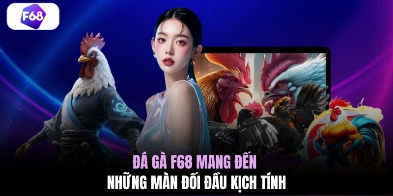 Đá gà F68 mang đến những màn đối đầu kịch tính