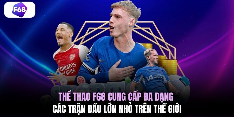 Thể thao F68 cung cấp đa dạng các trận đấu lớn nhỏ trên thế giới